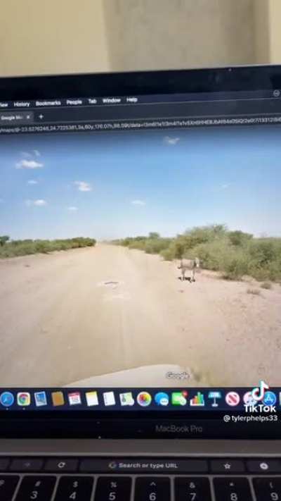 Camera car hits donkey (Stolen from tiktok)