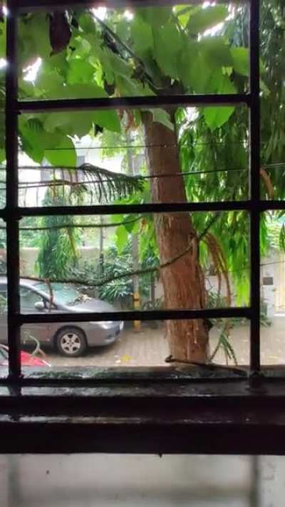 Monsoon in Delhi