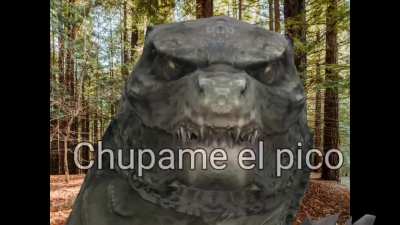 XD
