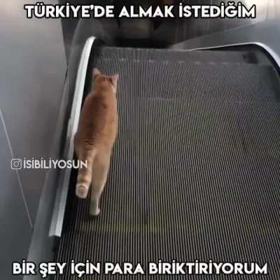 😃🙂😐☹️😭