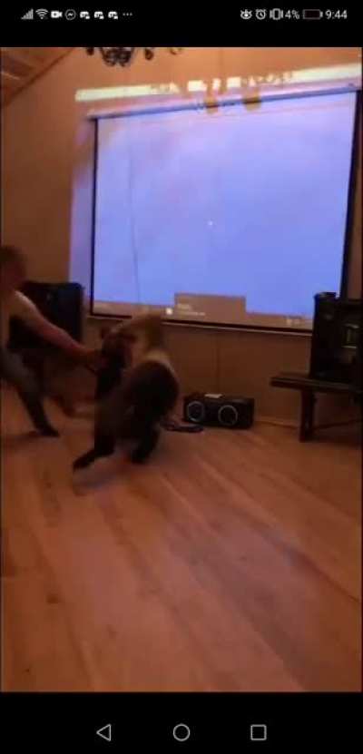 VR accident