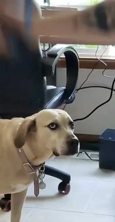 He&rsquo;s doing the thing again