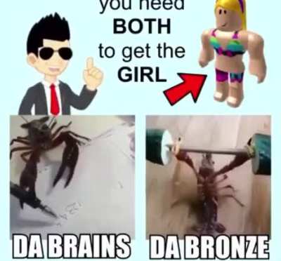 Be the little lobster that could