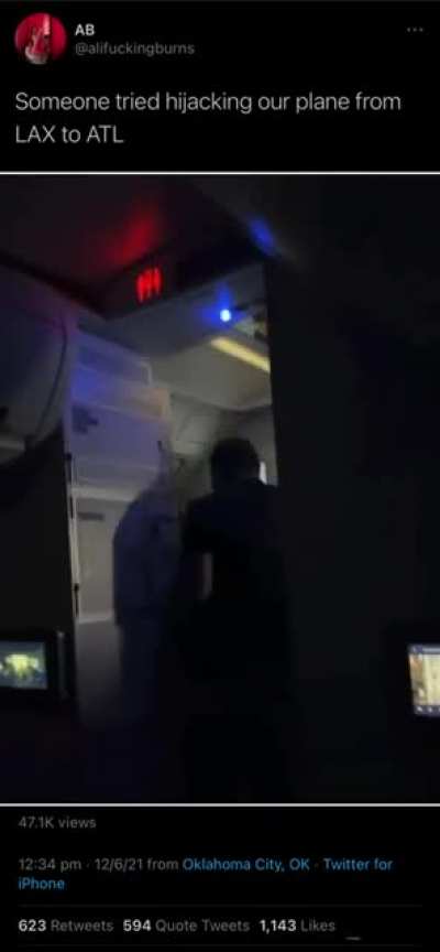 Trying to open the plane door mid-flight