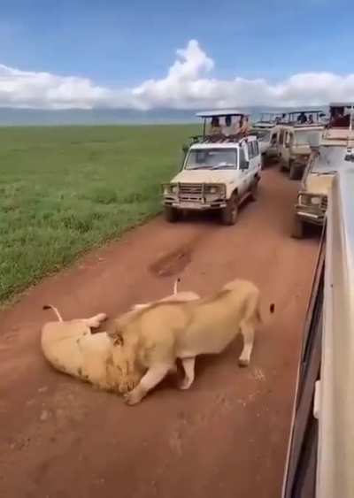 Just chill