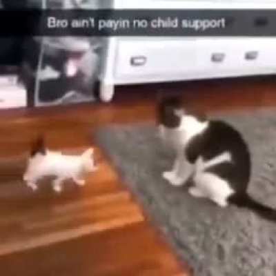 ..Dad?