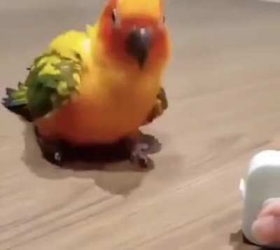 You ever been so shocked and amazed at the same time that you start dancing?