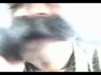 albani maro