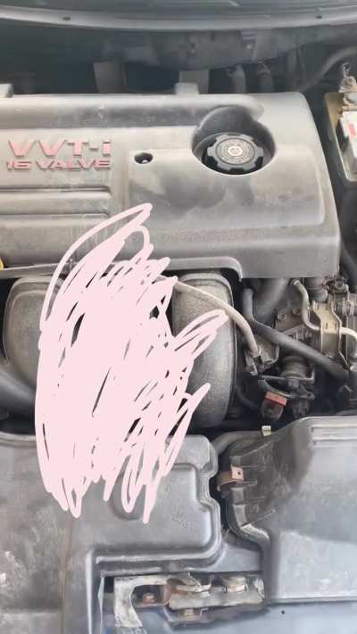 What is this noise?!??