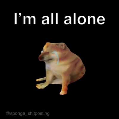 I don&rsquo;t have homies 😔