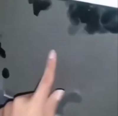 My PC runs on mold