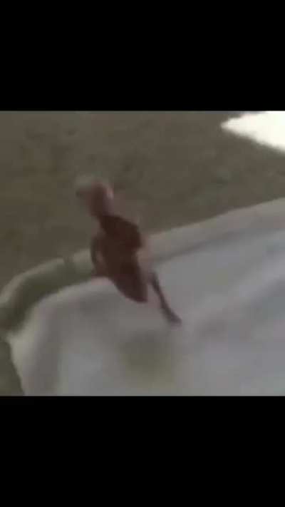 Mini paraguaio