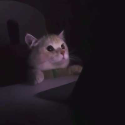 Everytime Joel’s stream ends