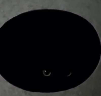 void main();