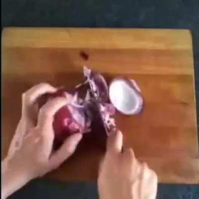 Onion