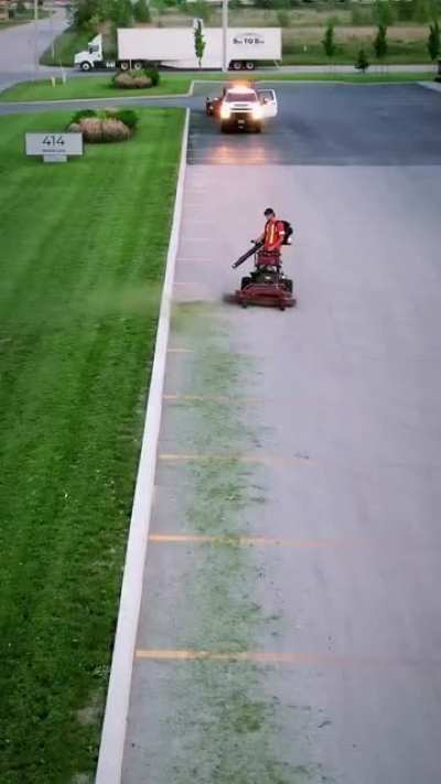 Blowing back the grass