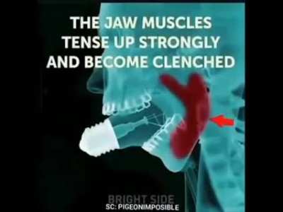 good tutorial