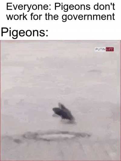 Suspicions confirmed