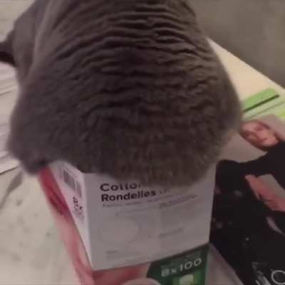 Коробочка