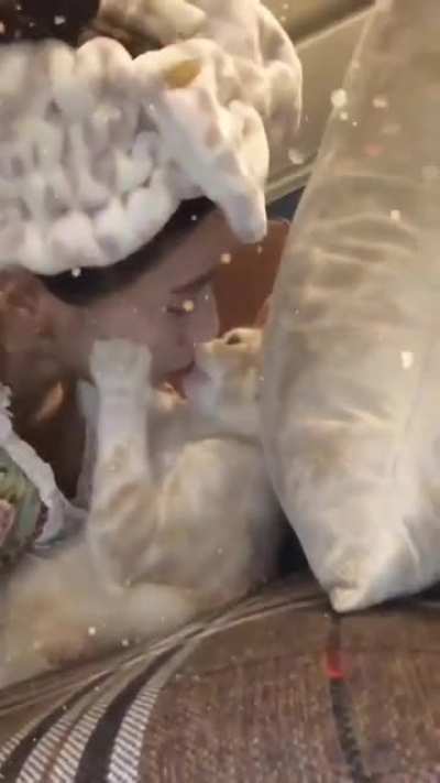 does your cat hold and kiss you like this?