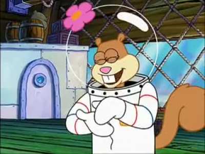 Sponge