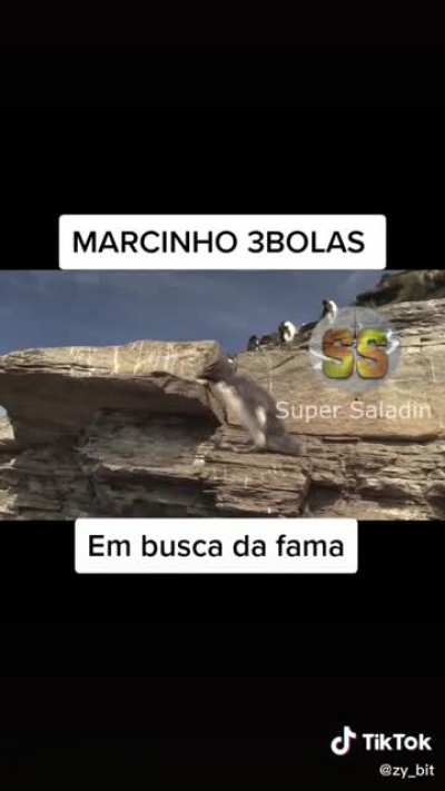 Sei l&aacute; kaka
