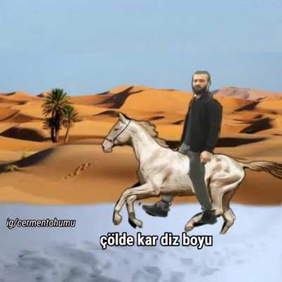 saşdasşdş