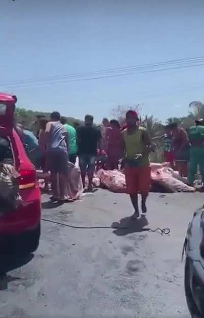 Refrigerated truck loaded with meat overturns on a Brazilian road. Crowd steal the cargo.