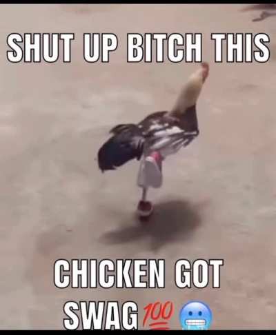 stupid woman is ignoring the chicken with swag🤑🥶😈👍🏿😡🐸😼😼😼😼😼📱📱📱