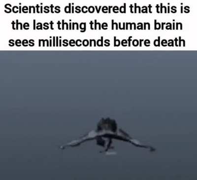 The brain is a mysterious thing