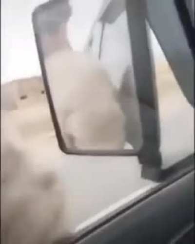 ТП.