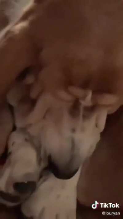 I don't think he likes Pop Smoke