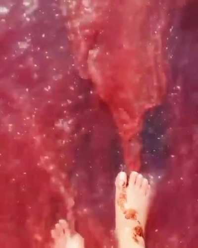 Red beach of Hormuz Island with its "tide of blood"