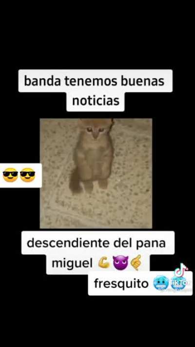Mini pana Miguel