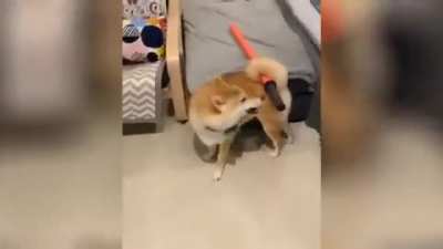 Perro modo diablo