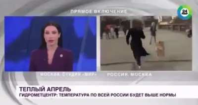 Dog steals a Russian news reporter&rsquo;s microphone