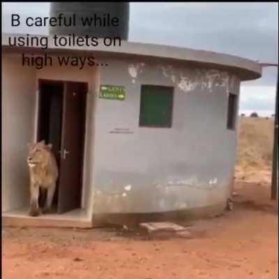 Just a normal restroom on the highway