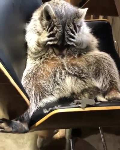 Господи, за что мне вот это вот всё?!
