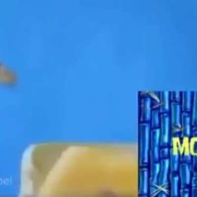 Poor monke