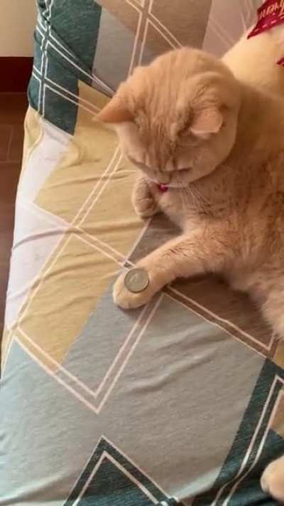 Maybe Maybe Maybe