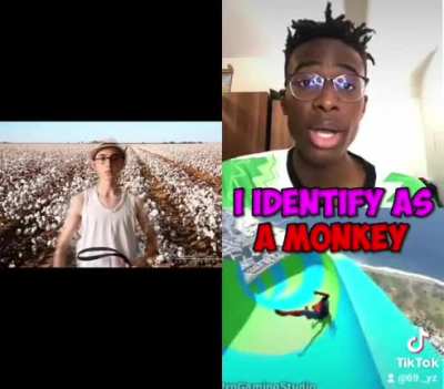 Monke