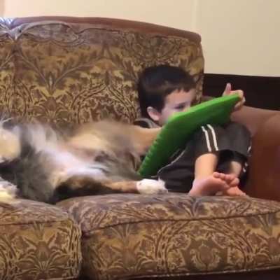 Stylus woof