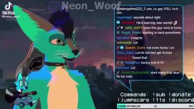Furry_irl