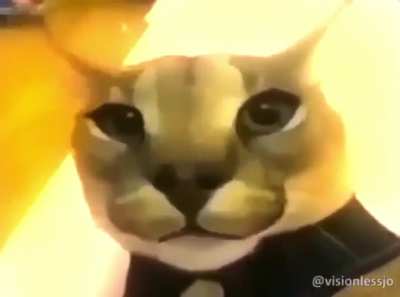 I see no Floppa Fridays, so I shall do it.