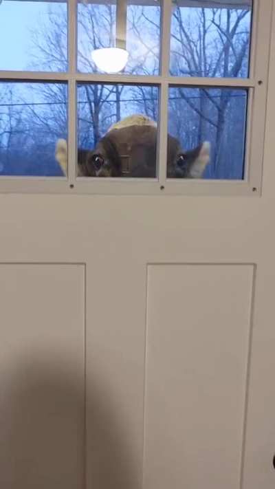 Hi I&rsquo;m your new neighbor
