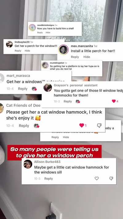 Anti fluff overspill window perch 😹