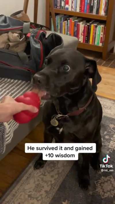 Don&rsquo;t do drugs kids