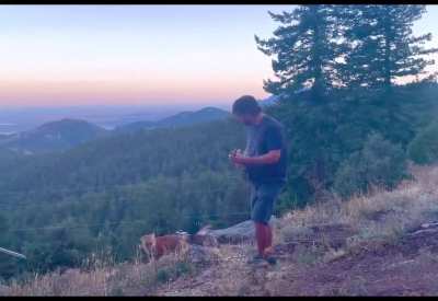 Playing banjo for a wild fox! He came back for an encore!