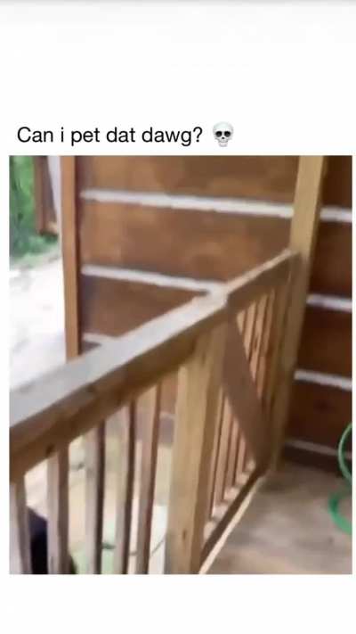 She must pet that dawwwwg.... 💀💀