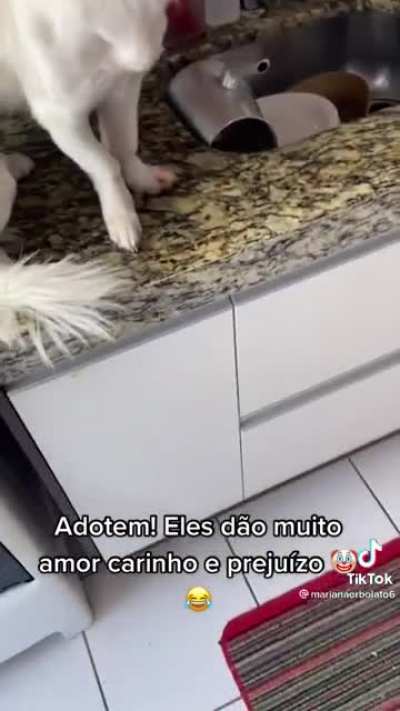 A&iacute; n&atilde;o, Sebasti&atilde;o